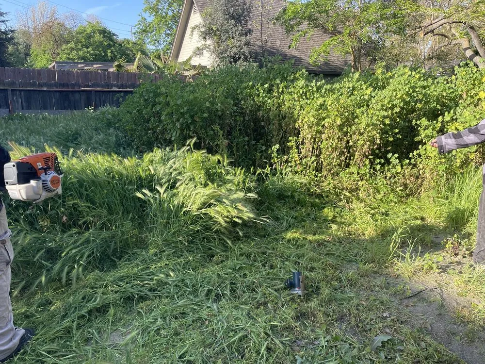 Expert outdoor landscaping for outdoor upgrades in Modesto, CA by T D Land Services