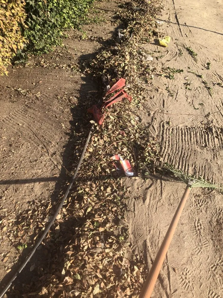 Custom yard maintenance experts serving Modesto, CA - T D Land Services