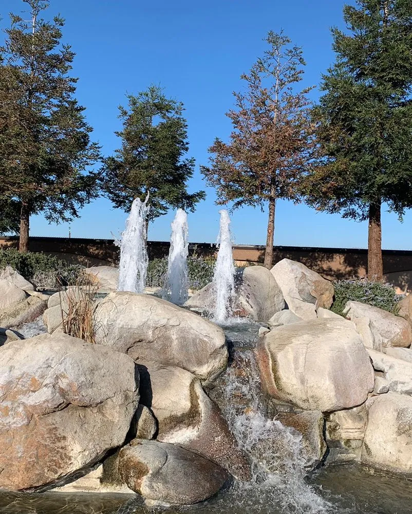 Top-rated yard cleanup service in Modesto, CA - T D Land Services