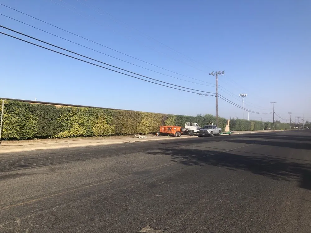 Affordable yard maintenance for residential properties across Modesto, CA - T D Land Services