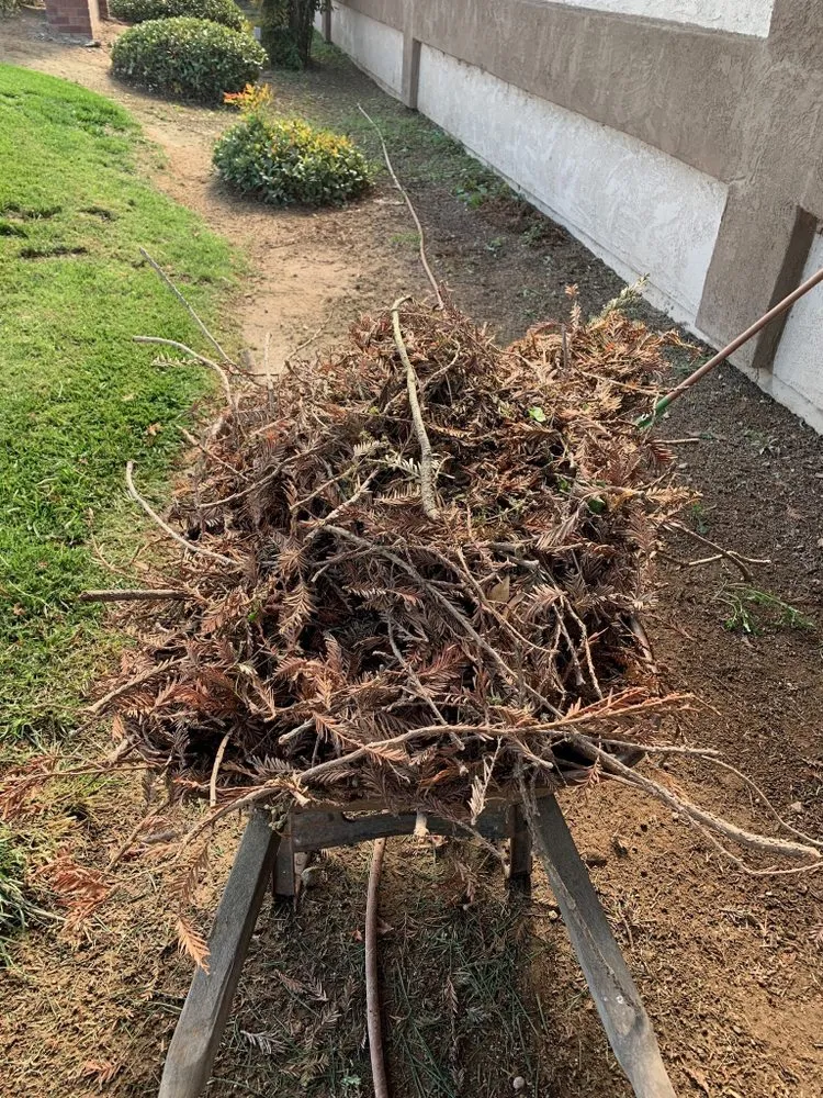 Trusted residential landscaping experts serving Modesto, CA - T D Land Services