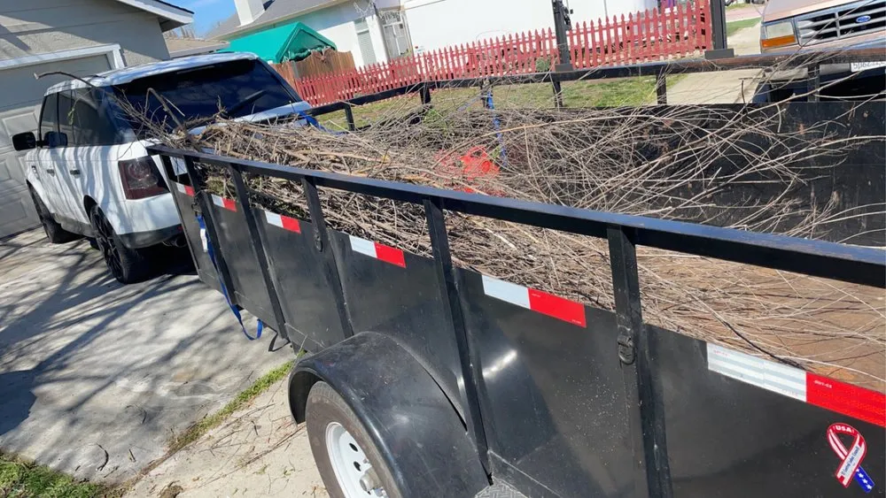 Local residential landscaping in Modesto, CA by T D Land Services