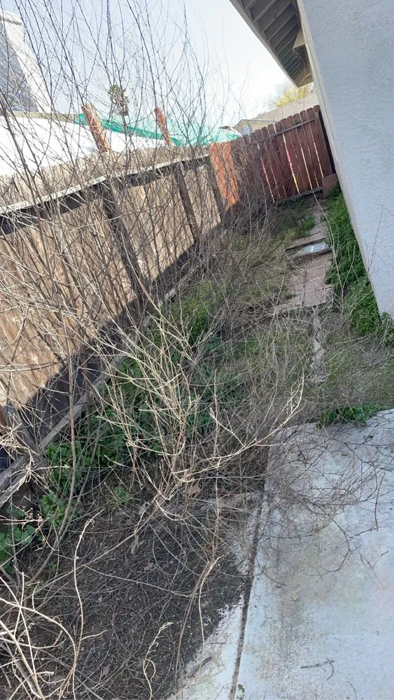 Reliable garden landscaping with custom design across Modesto, CA - T D Land Services