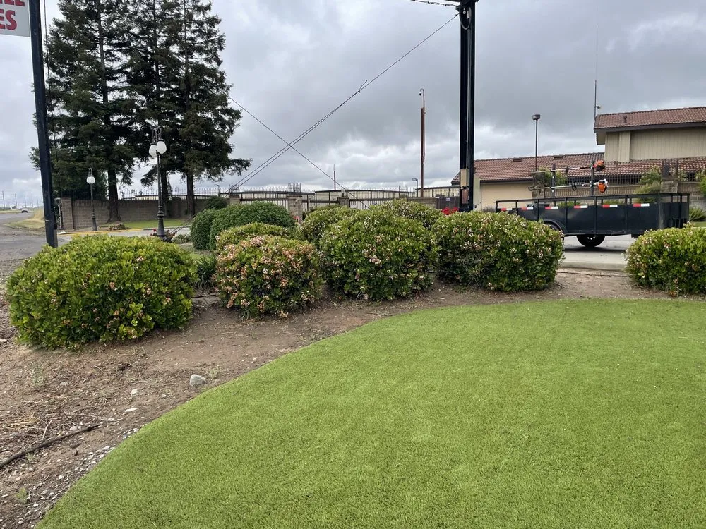 Expert yard cleanup service in Modesto, CA by T D Land Services