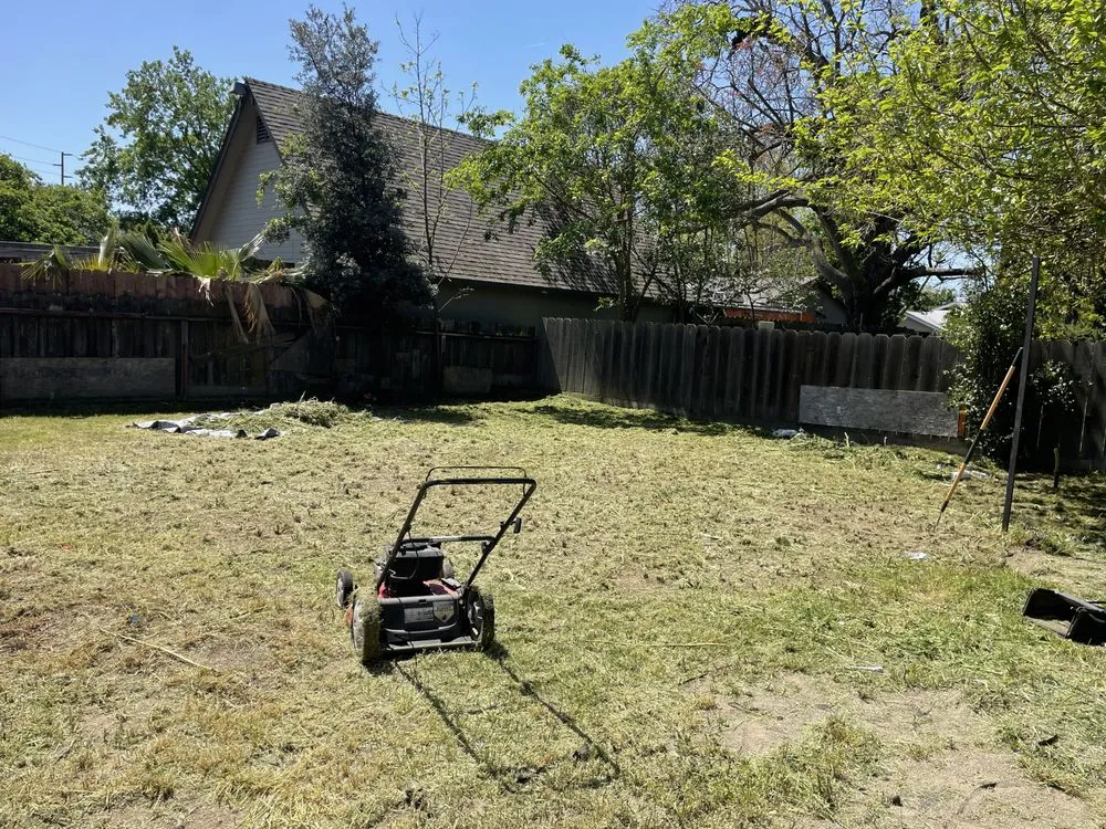 Custom yard maintenance in Modesto, CA - T D Land Services