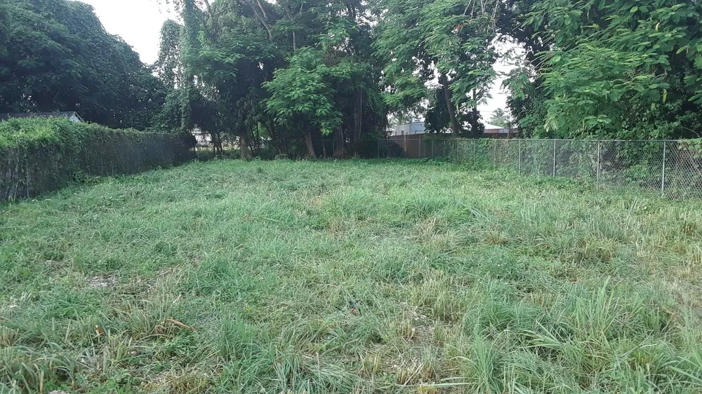 Trusted landscape design for homes in Goulds, FL by T Do It All