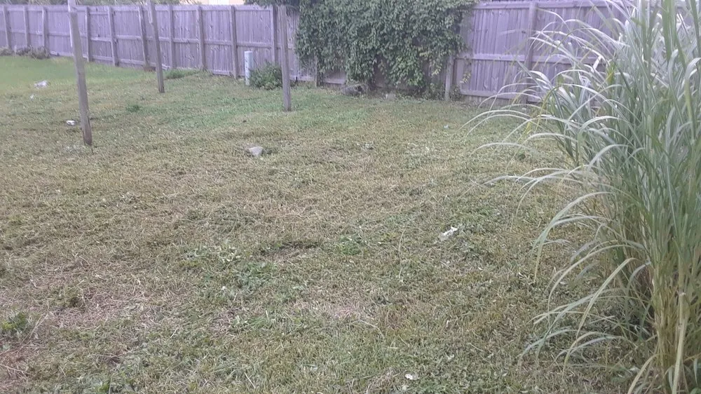 Trusted outdoor landscaping for homes in Goulds, FL by T Do It All