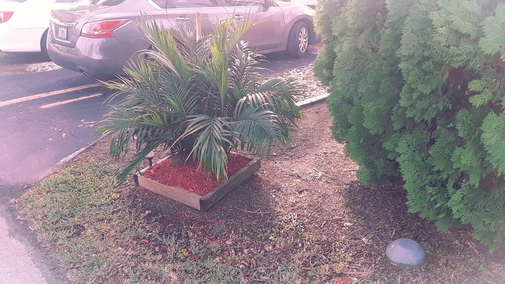 Custom landscape installation near you in Goulds, FL by T Do It All