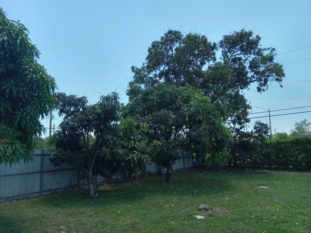 Trusted lawn care service in Goulds, FL - T Do It All