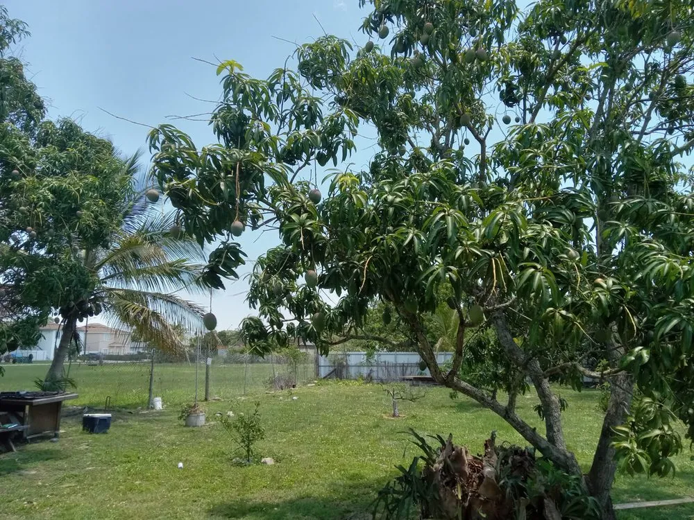 Custom residential landscaping in Goulds, FL - T Do It All