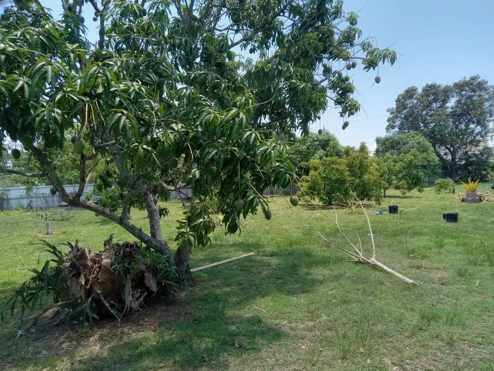 Trusted outdoor landscaping experts serving Goulds, FL - T Do It All