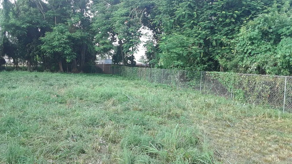 Local residential landscaping for homes in Goulds, FL by T Do It All