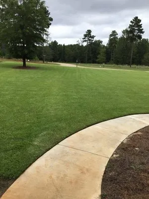 T Edward Cooper Company Logo