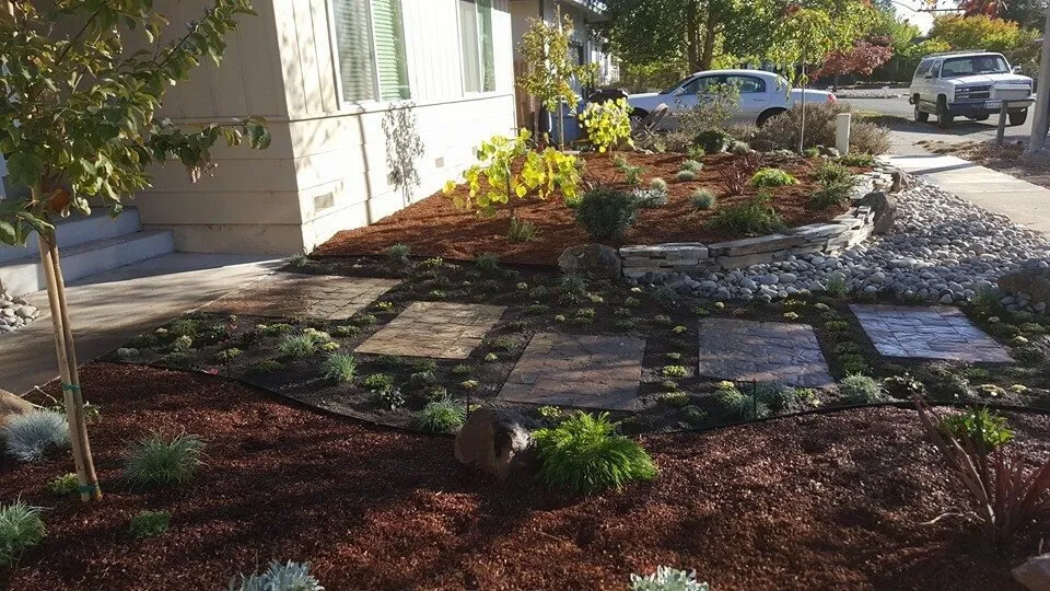 Professional yard maintenance for beautiful yards in Sebastopol, CA by T Enterprises
