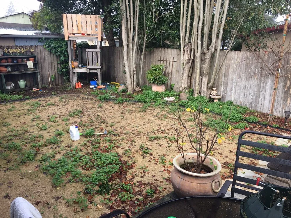 Local yard maintenance experts serving Sebastopol, CA - T Enterprises