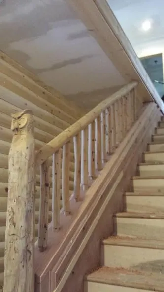 Trusted yard cleanup service in Sebastopol, CA by T Enterprises