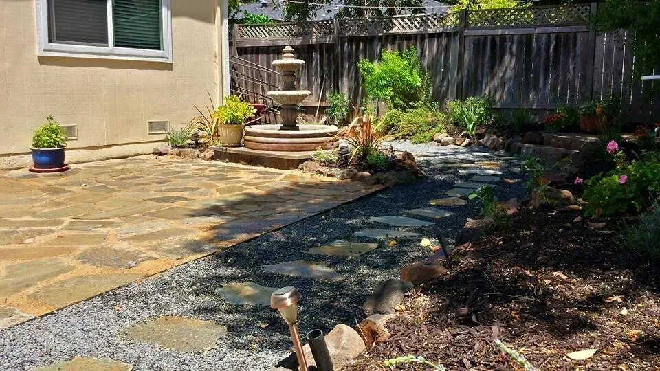 Professional yard cleanup service in Sebastopol, CA by T Enterprises