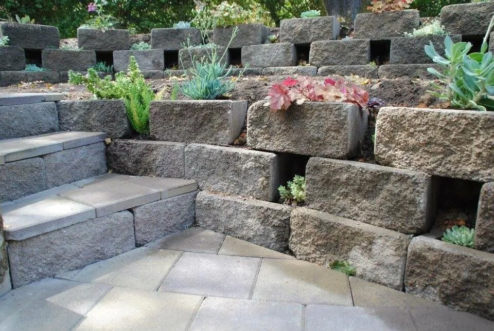 Affordable yard maintenance for residential properties in Sebastopol, CA by T Enterprises