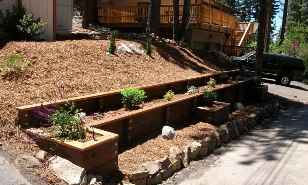 Expert yard cleanup service for residential properties in Sebastopol, CA by T Enterprises