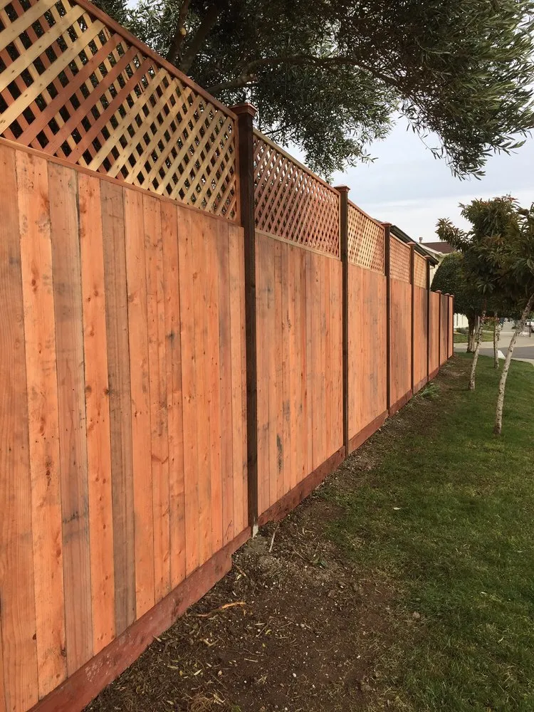 Local yard cleanup service for residential properties across Sebastopol, CA - T Enterprises