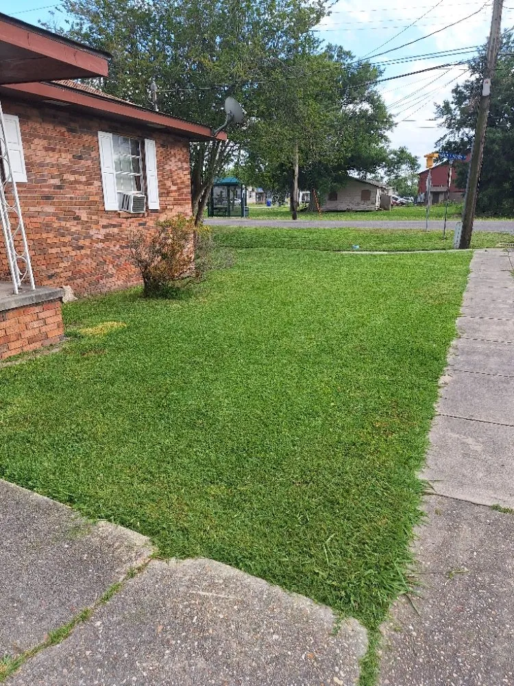 Top-rated landscape design for residential properties in Houma, LA by T G T Pressure