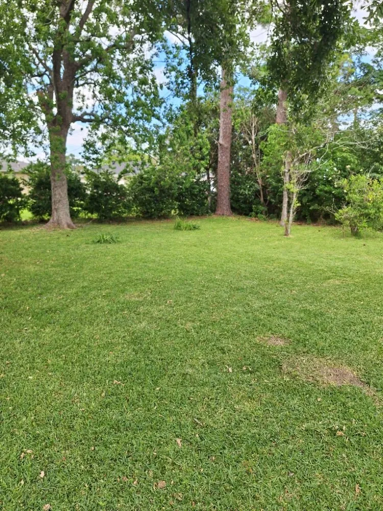 Professional garden landscaping for year-round maintenance in Houma, LA by T G T Pressure