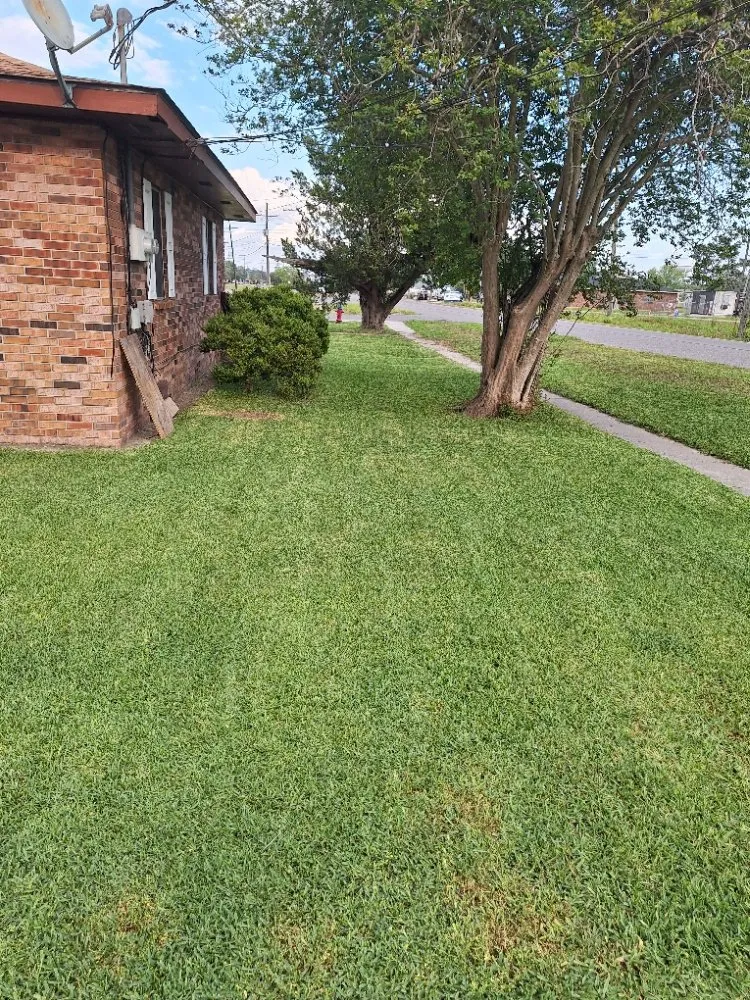 Reliable landscape design in Houma, LA - T G T Pressure