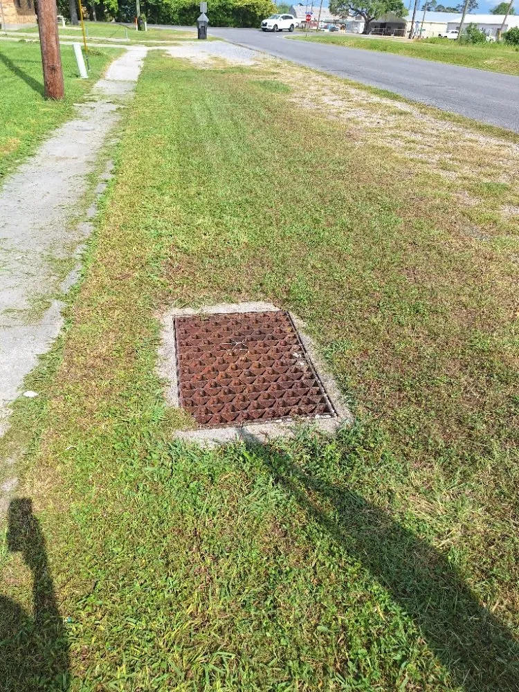 Trusted yard cleanup service for beautiful yards across Houma, LA - T G T Pressure