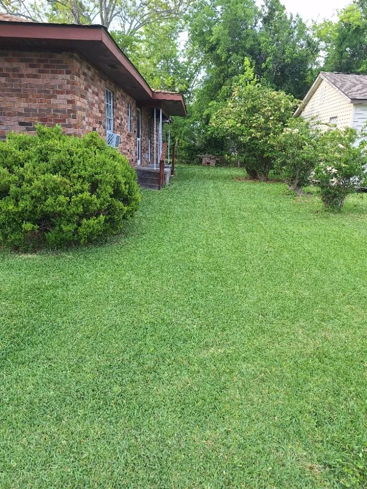 Professional landscaping services in Houma, LA by T G T Pressure