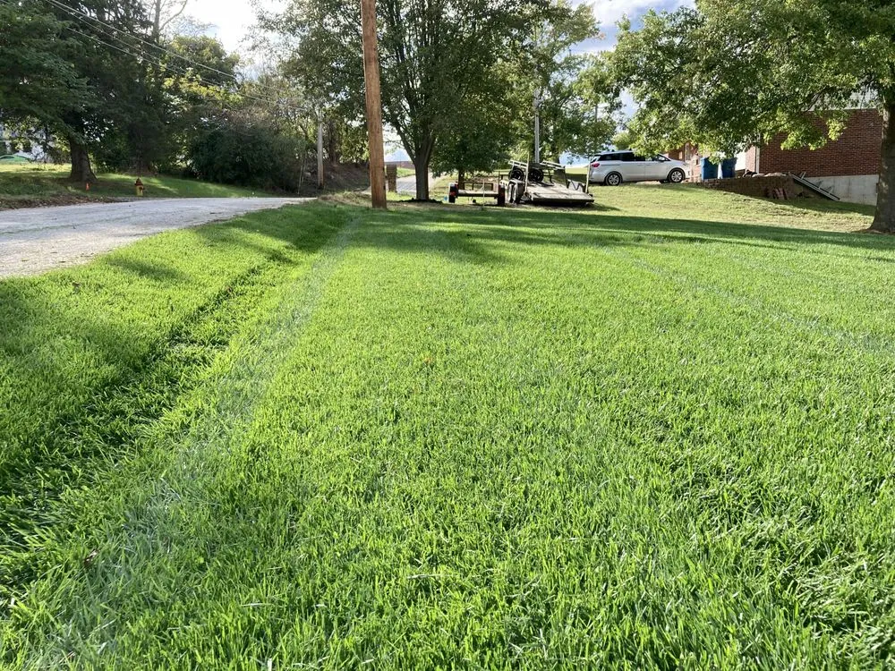 Top-rated yard cleanup service for homes in Hillsboro, MO by T. Glass Lawn Care