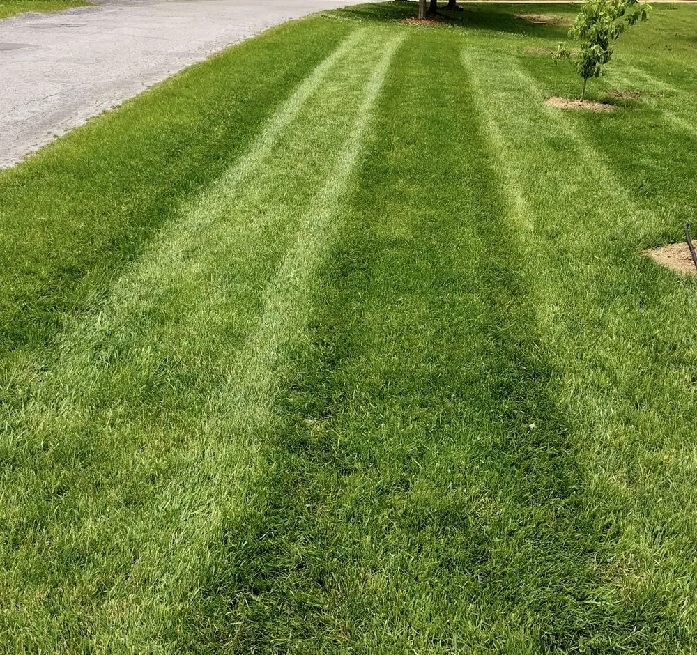 Affordable residential landscaping experts serving Hillsboro, MO - T. Glass Lawn Care