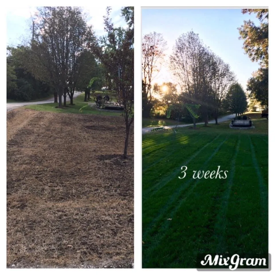 Top-rated landscaping services for outdoor upgrades across Hillsboro, MO - T. Glass Lawn Care