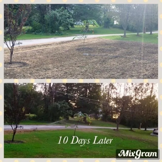 Expert garden landscaping in Hillsboro, MO - T. Glass Lawn Care