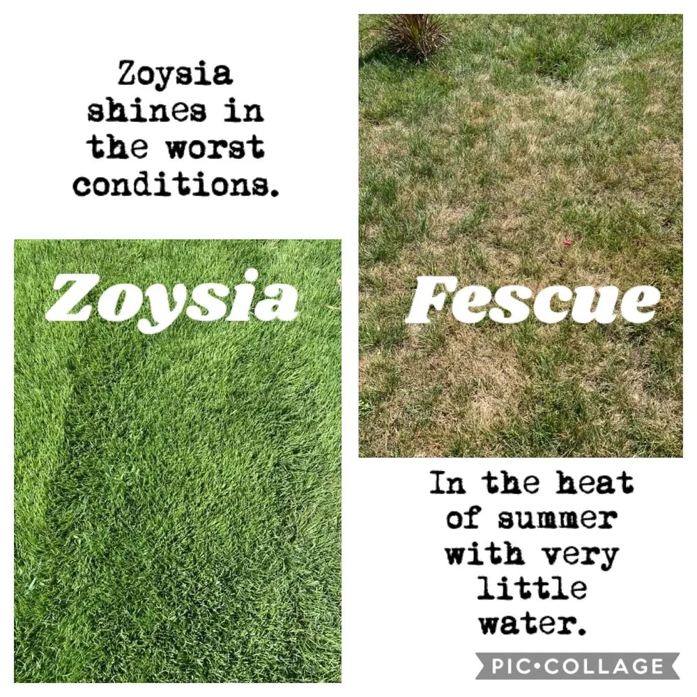 Affordable garden landscaping for outdoor upgrades across Hillsboro, MO - T. Glass Lawn Care