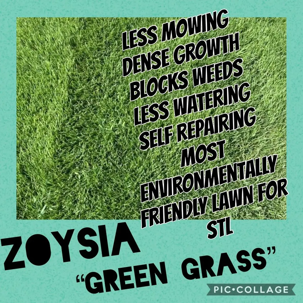 Local residential landscaping for year-round maintenance in Hillsboro, MO by T. Glass Lawn Care