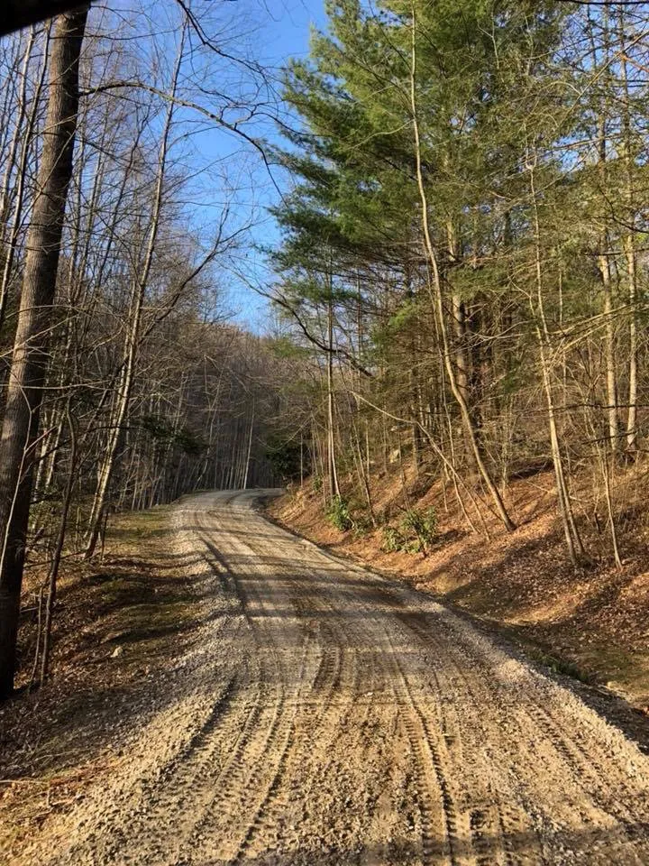 Custom landscape installation near you in Moravian Falls, NC by T. Greene Excavation