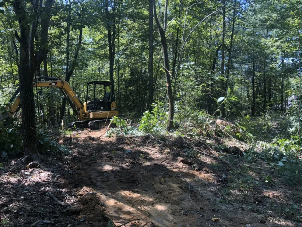Top-rated yard cleanup service for beautiful yards across Moravian Falls, NC - T. Greene Excavation