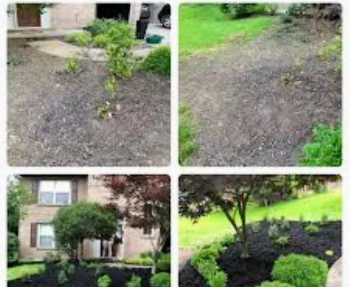 Expert yard maintenance experts serving Chester, SC - T Harbour's Handy Man Service's