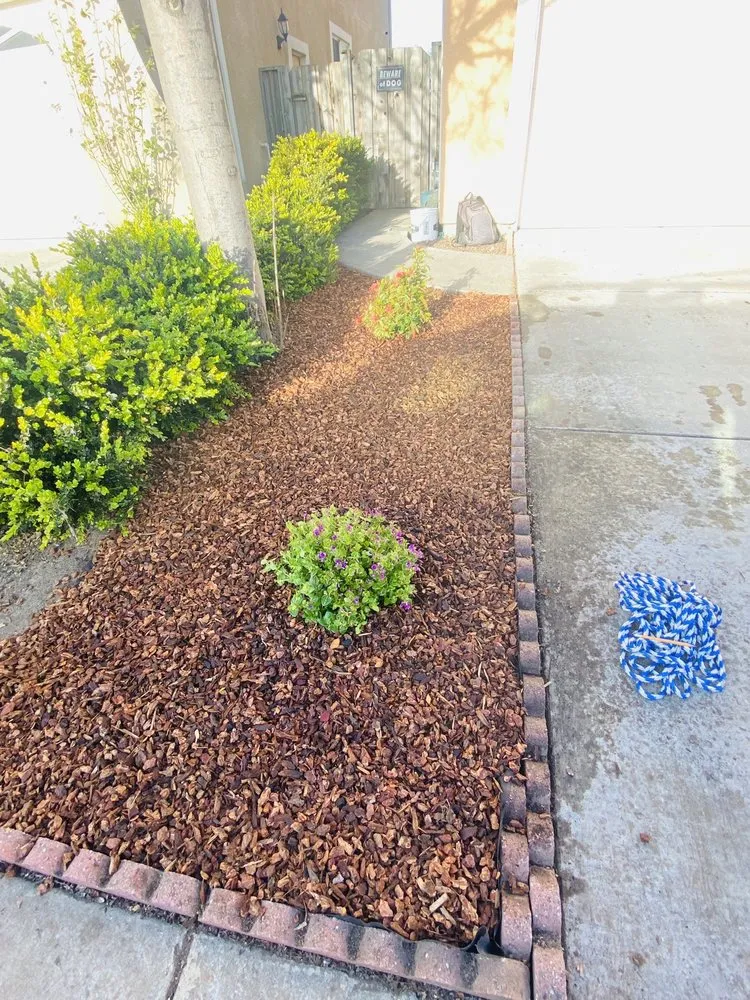 Local landscape design in San Leandro, CA by T. Hoang Landscaping