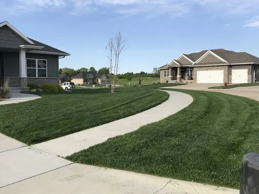 T J Lawn services Logo