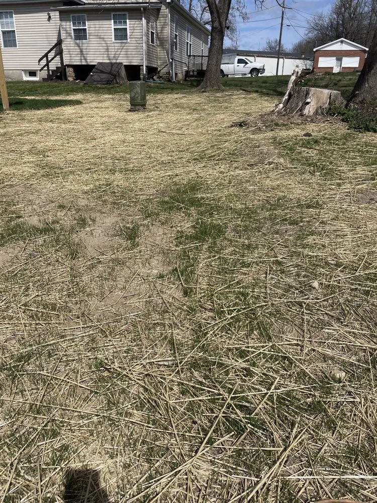 Custom yard maintenance in Columbia, MO by T Jones Builders & Landscaping