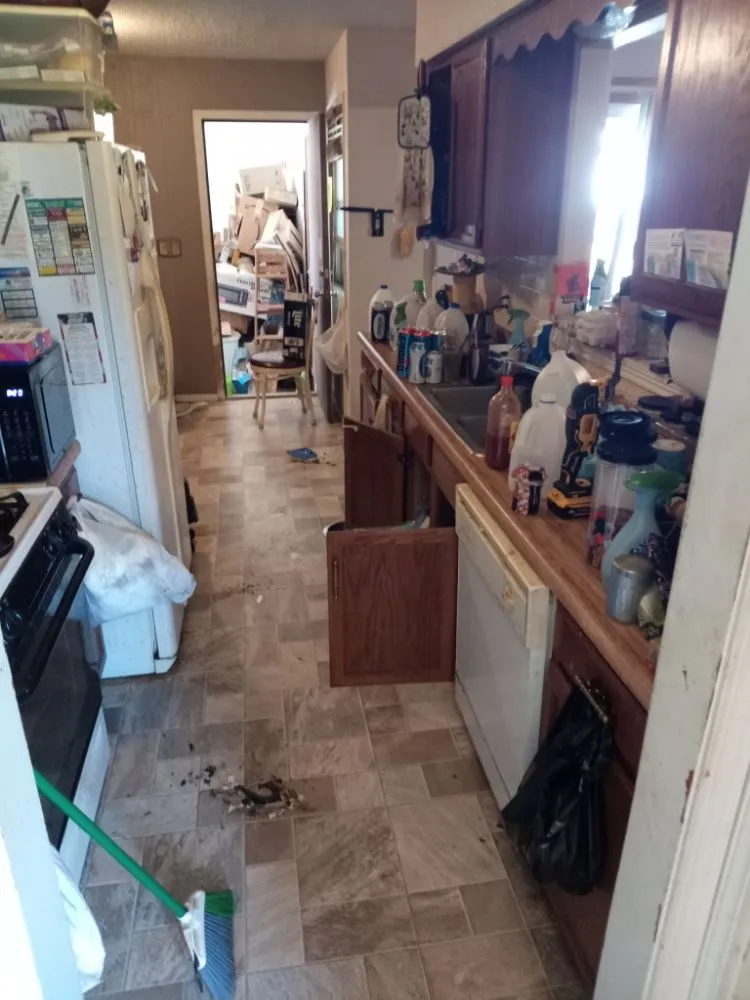 Top-rated landscape design in Derby, KS by T. K Junk Removal Service