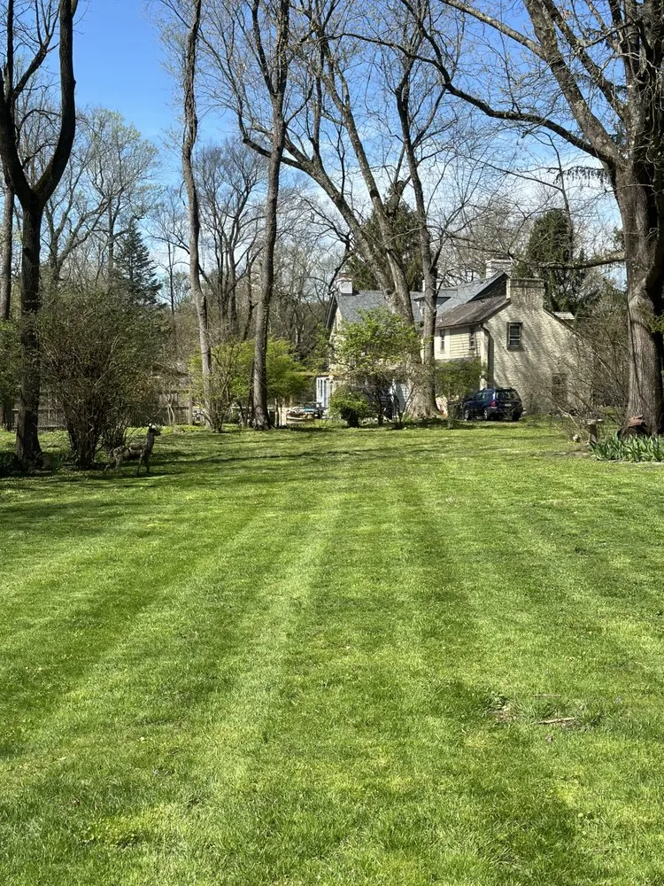 Local landscaping services in Philadelphia, PA by T K Landscaping