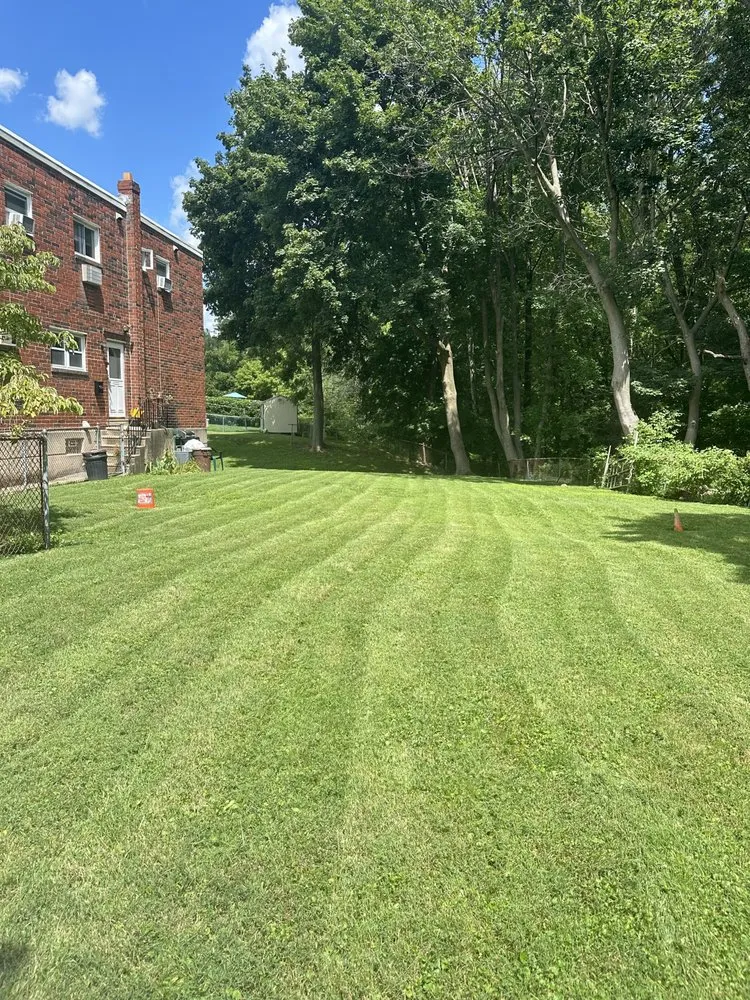 Local lawn mowing service in Philadelphia, PA by T K Landscaping