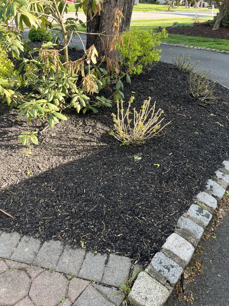 Reliable landscaping services experts serving Montville, NJ - T Landscaping