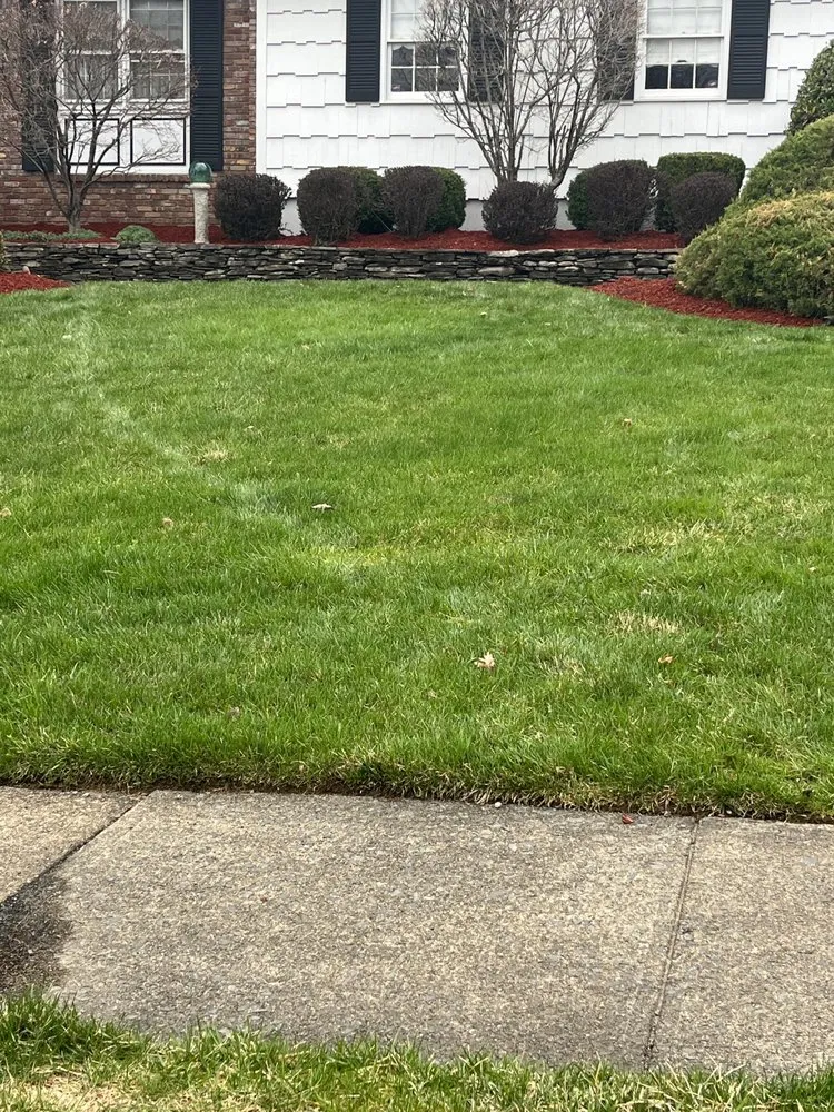 Affordable landscaping services experts serving Montville, NJ - T Landscaping