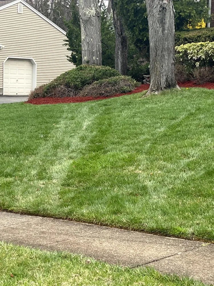 Trusted lawn care service for residential properties across Montville, NJ - T Landscaping