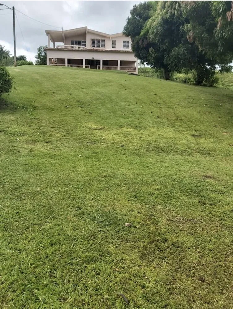 Affordable lawn mowing service in Montville, NJ - T Landscaping