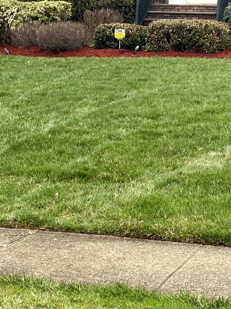 Top-rated outdoor landscaping experts serving Montville, NJ - T Landscaping