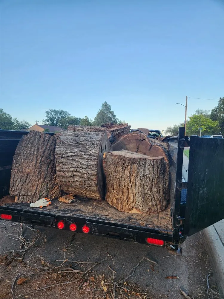 Affordable landscape installation in Amarillo, TX by T Lawn Maintenance &Tree Services